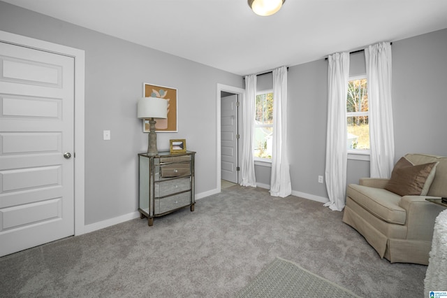 living area with light carpet