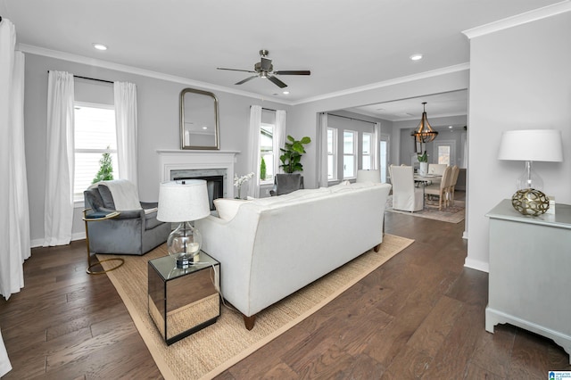 living room featuring dark hardwood / wood-style flooring, a wealth of natural light, crown molding, and ceiling fan