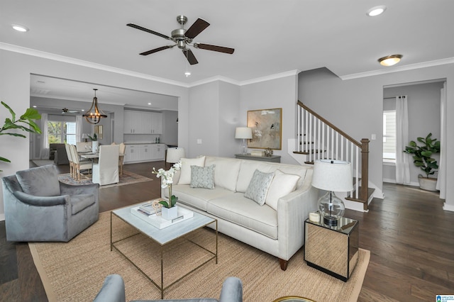 living room featuring ceiling fan, dark hardwood / wood-style flooring, and ornamental molding