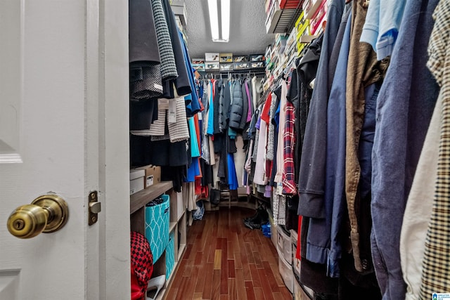 spacious closet featuring dark wood-type flooring