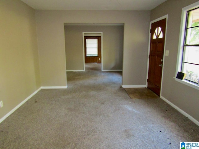 carpeted foyer featuring a healthy amount of sunlight