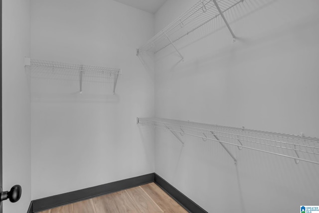 1174 Ranch Marina Rd, Pell City, AL 35128 - walk in closet with light wood-style floors