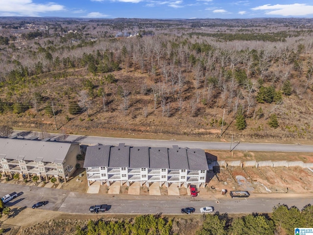 1174 Ranch Marina Rd, Pell City, AL 35128 - aerial view