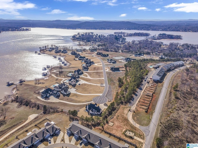 1174 Ranch Marina Rd, Pell City, AL 35128 - aerial overview of property's location featuring a nearby body of water
