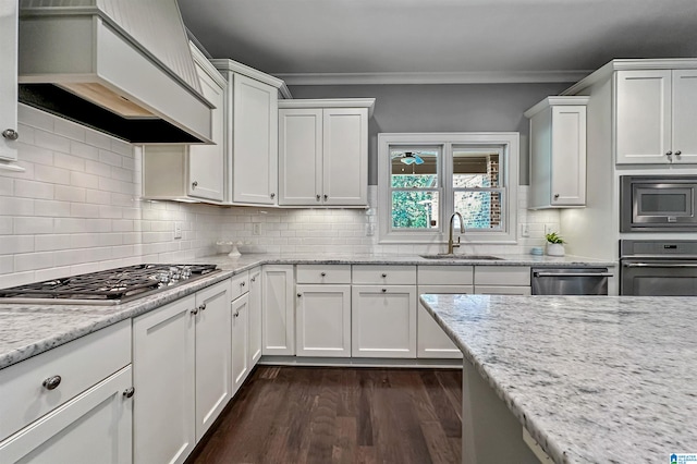 kitchen with white cabinetry, sink, appliances with stainless steel finishes, dark hardwood / wood-style floors, and premium range hood