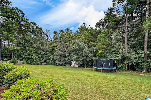 view of yard with a trampoline