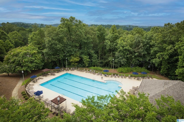 view of pool with a patio area