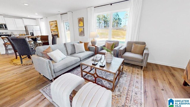 living room featuring light hardwood / wood-style floors