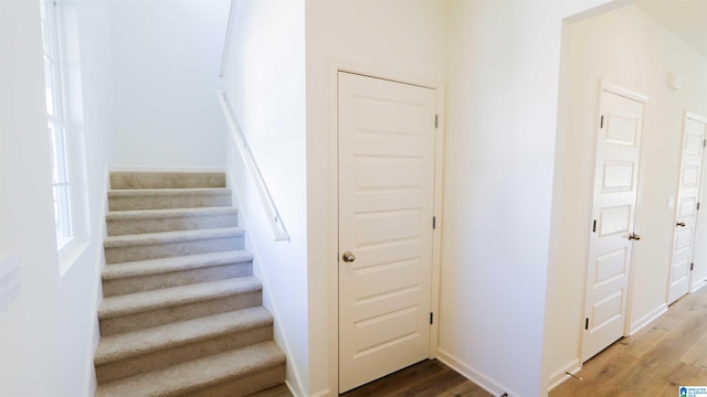 stairway featuring hardwood / wood-style flooring