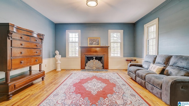 living room featuring light wood-type flooring and crown molding