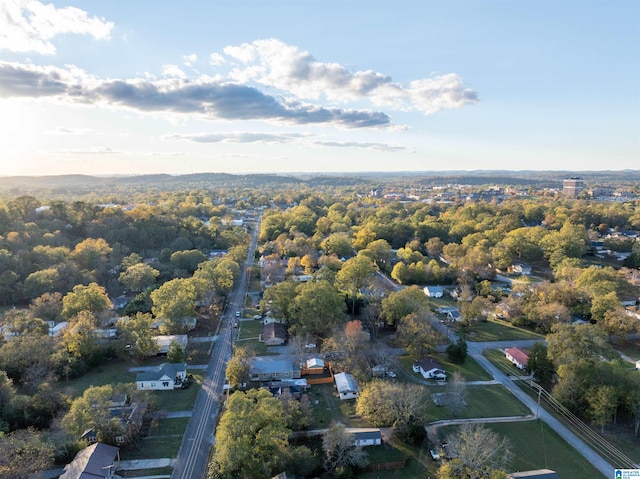 aerial view