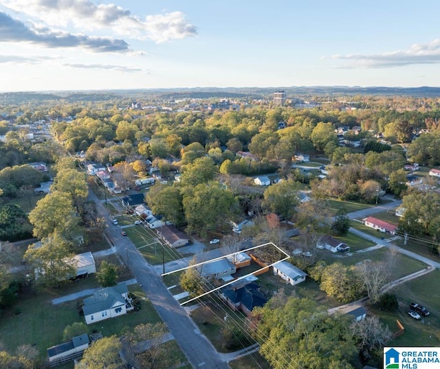 bird's eye view