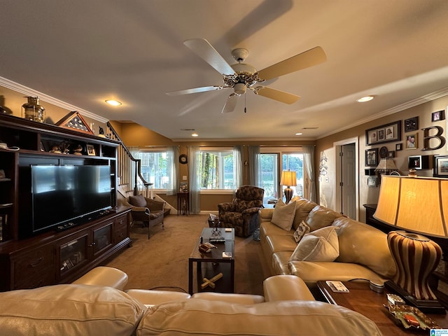 carpeted living room with ceiling fan and ornamental molding