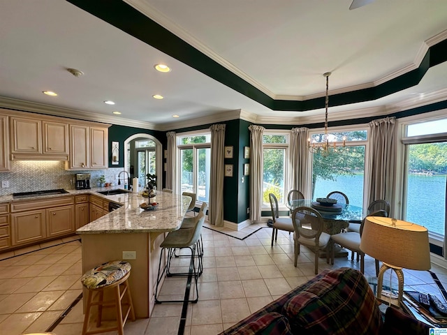 kitchen featuring a wealth of natural light and crown molding