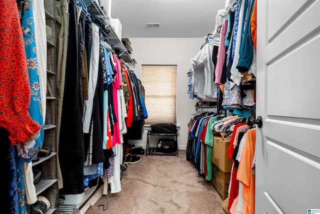 spacious closet with light colored carpet