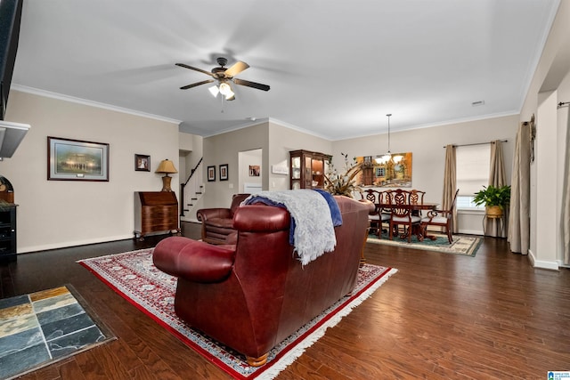 living room featuring ceiling fan with notable chandelier, crown molding, and dark wood-type flooring