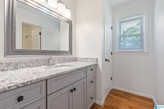 bathroom with wood-type flooring and vanity