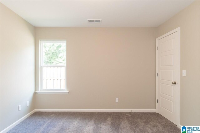 spare room with carpet