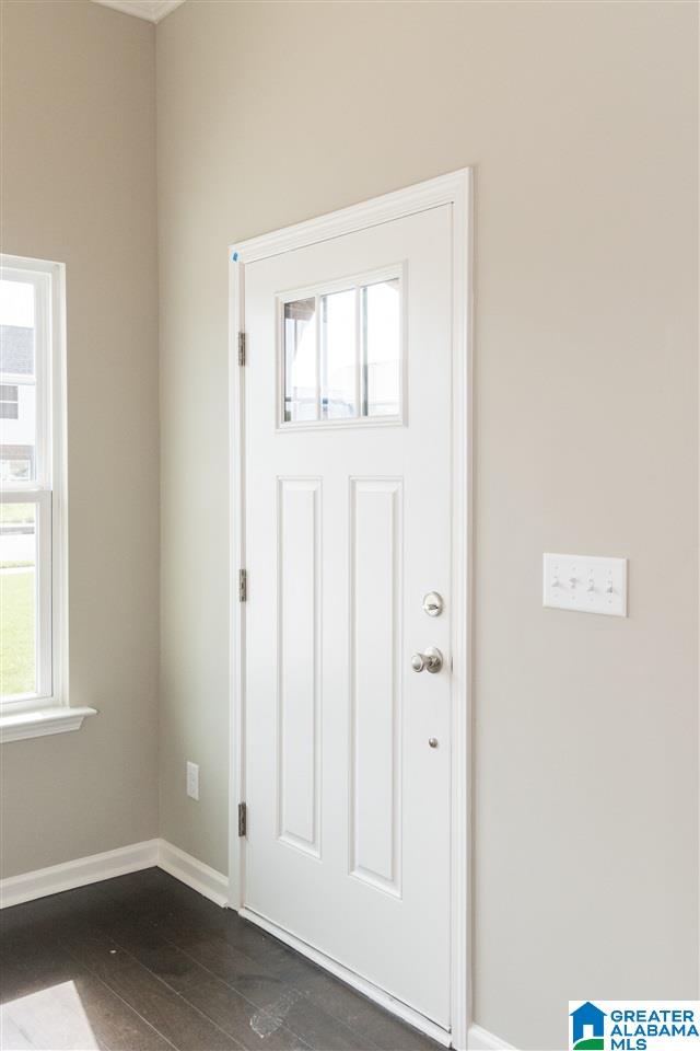 entrance foyer featuring a wealth of natural light and dark wood-type flooring