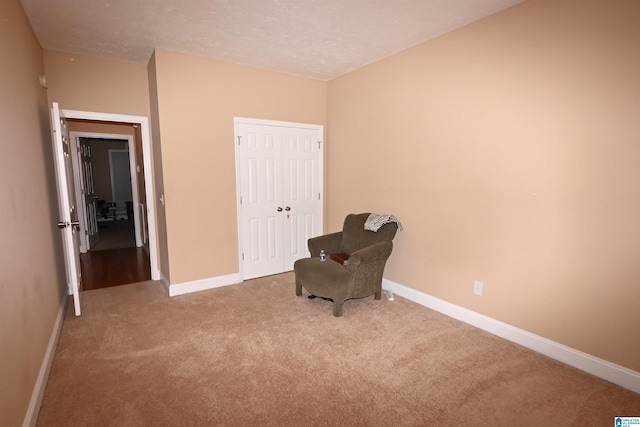 unfurnished room with carpet flooring