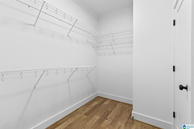 spacious closet with hardwood / wood-style flooring