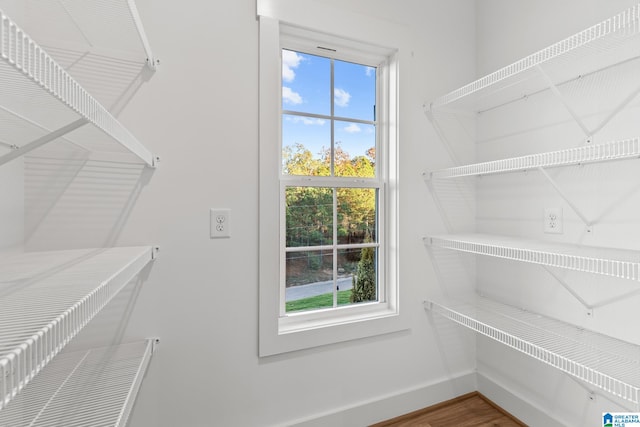 walk in closet with hardwood / wood-style floors