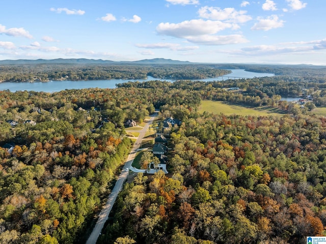 birds eye view of property featuring a water and mountain view