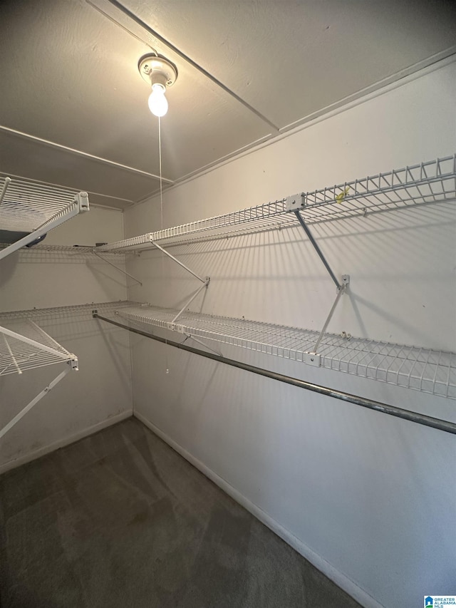 spacious closet with carpet flooring