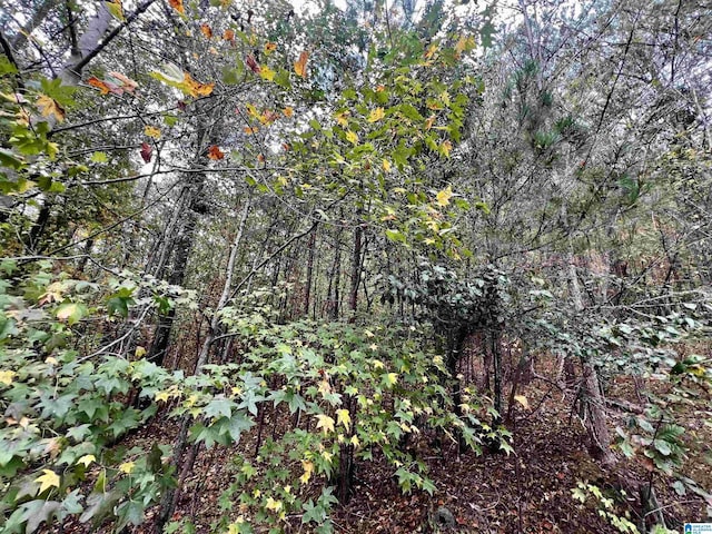 6408 Trussville Clay Rd Unit 0, Trussville, AL 35173