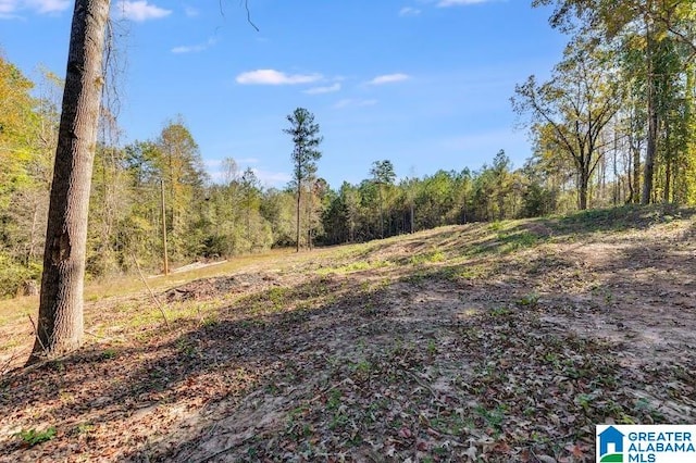 0 County Road 267 Unit 0, Lanett AL, 36863 land for sale