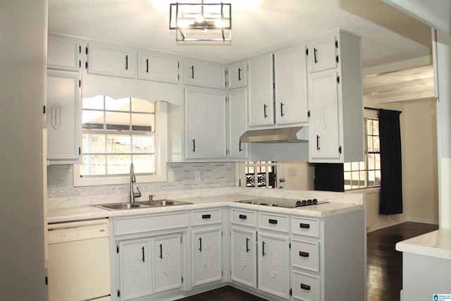 kitchen featuring dishwasher, under cabinet range hood, a sink, black electric cooktop, and decorative backsplash