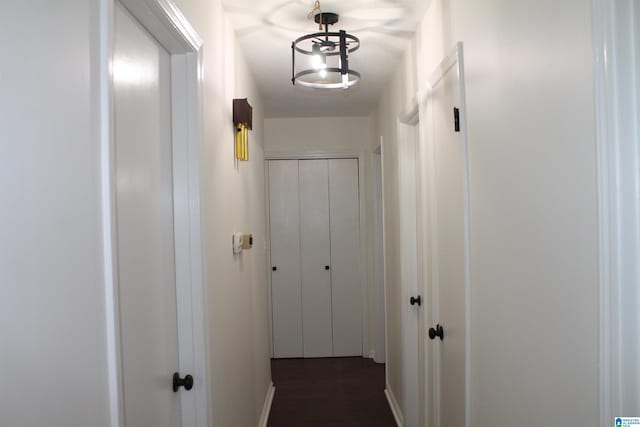 hall featuring dark hardwood / wood-style floors