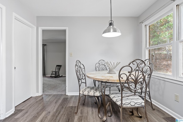 dining room with hardwood / wood-style floors and a healthy amount of sunlight