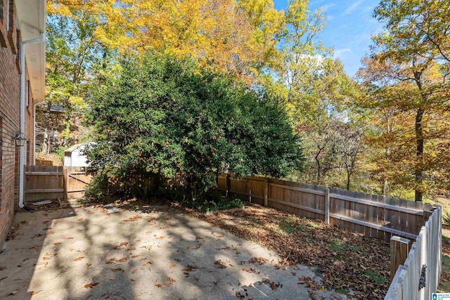 view of yard featuring a patio