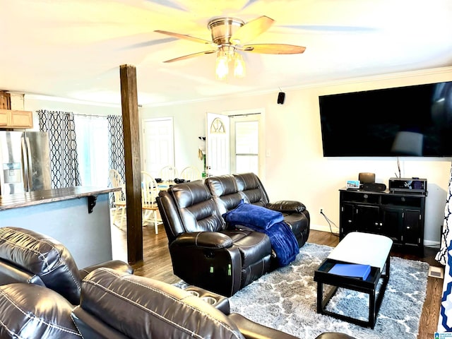 living room with dark hardwood / wood-style floors, ceiling fan, ornamental molding, and a healthy amount of sunlight