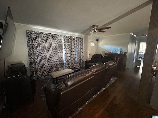 living room featuring dark hardwood / wood-style flooring, ceiling fan, and ornamental molding