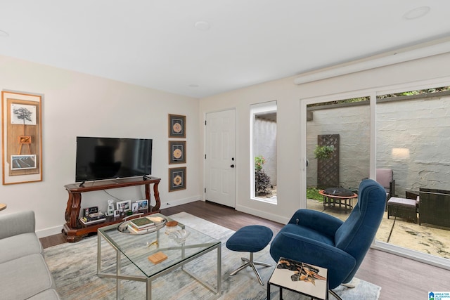 living room featuring hardwood / wood-style flooring