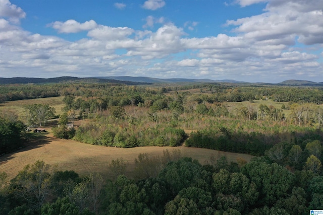 drone / aerial view featuring a mountain view