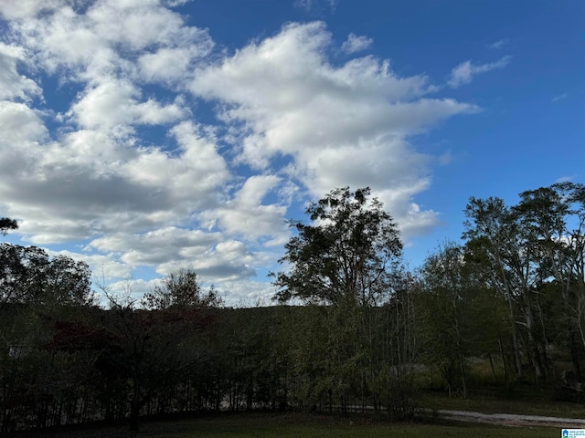 view of landscape