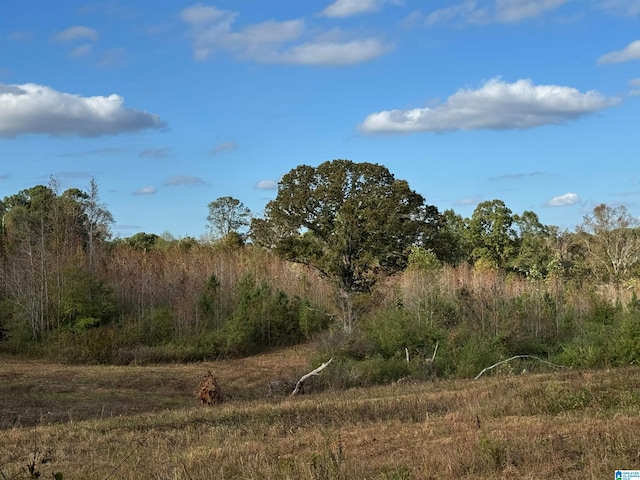 view of nature