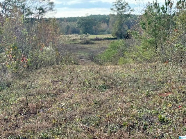 view of landscape