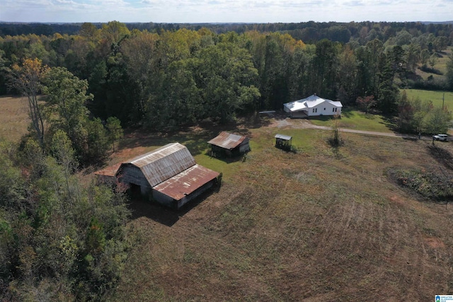 bird's eye view