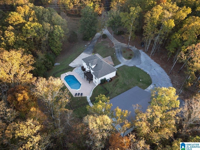 370 Pats Way, Springville, AL 35146 - view from above of property with a pool area
