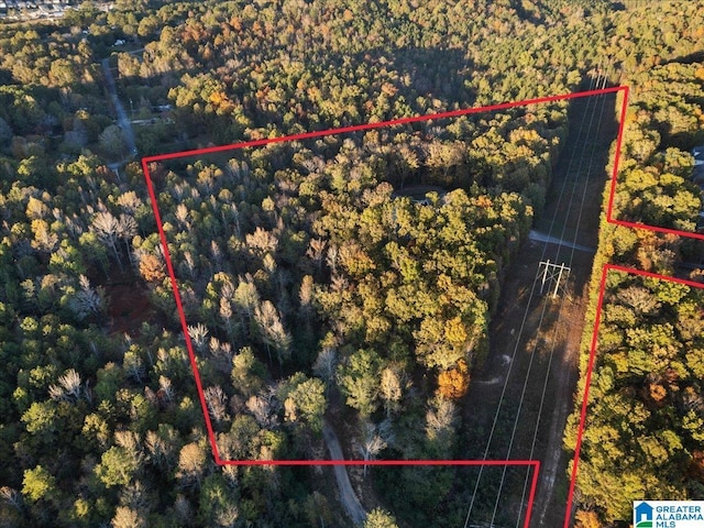 370 Pats Way, Springville, AL 35146 - aerial view of property's location with property boundaries highlighted
