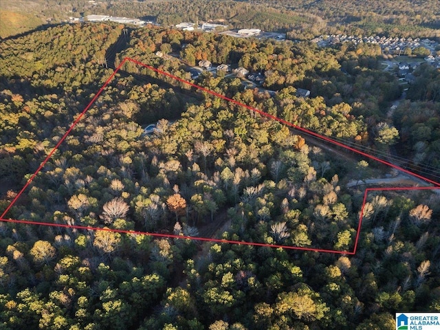 370 Pats Way, Springville, AL 35146 - aerial view of property and surrounding area featuring property boundaries highlighted and a heavily wooded area