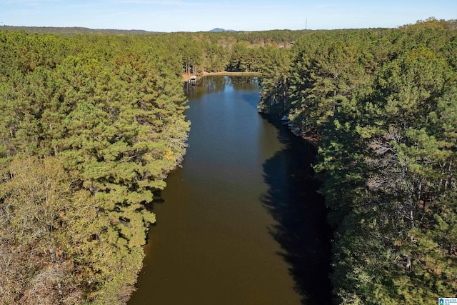 401 El Camino Real, Chelsea, AL 35043 - drone / aerial view of a heavily wooded area and a nearby body of water
