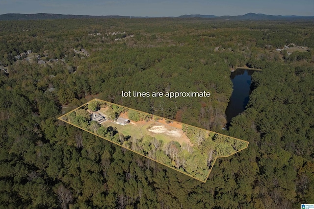 401 El Camino Real, Chelsea, AL 35043 - aerial overview of property's location with a forest, property boundaries highlighted, and a large body of water