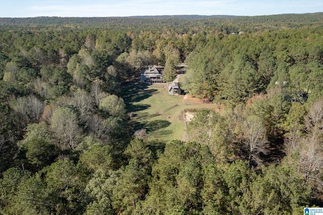 bird's eye view