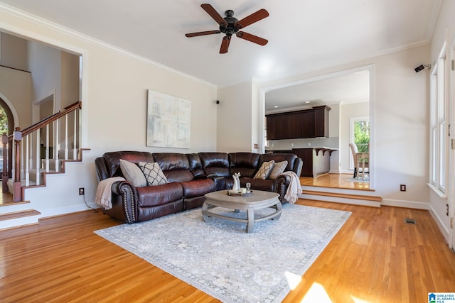 living room featuring light hardwood / wood-style floors, ceiling fan, and crown molding