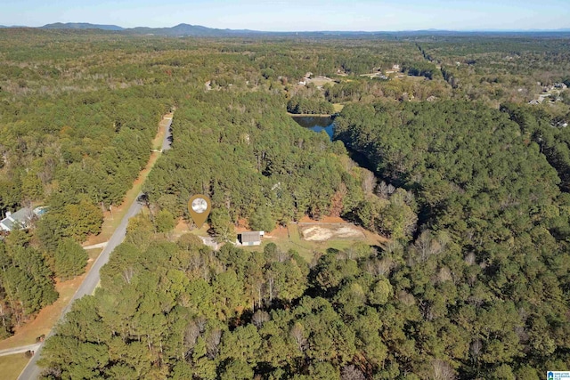 401 El Camino Real, Chelsea, AL 35043 - aerial view of property's location with a forest